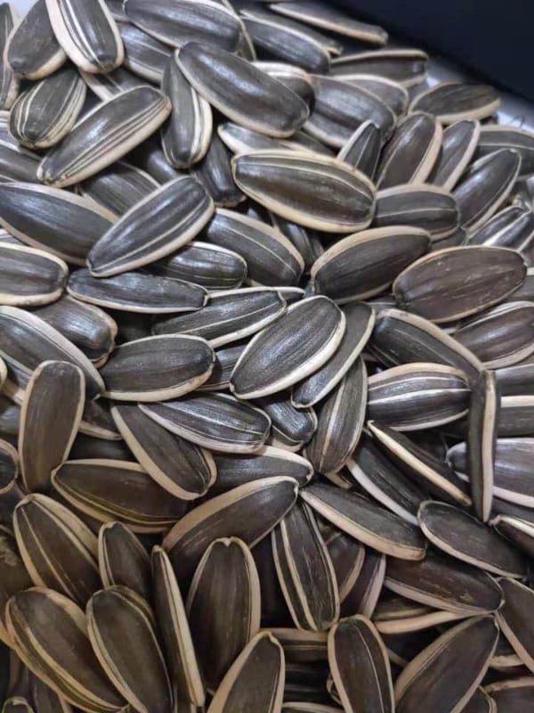 Super seeds - لب سوبر